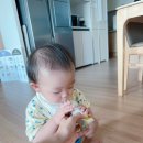 상궁목장 이미지