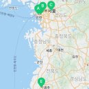 오독안심분양센터 강아지분양 고양이분양 목동점 이미지