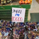 수확농축마트 네이버블로그