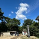 인현목장 | 서울 근교 아이와 가볼만한 곳 조선왕릉 서삼릉 산책