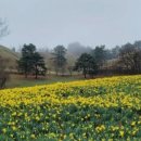 고향목장 이미지