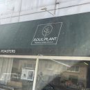 Soul Plant(소울플랜트) 이미지