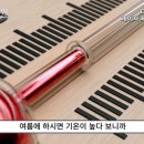 홍제온한의원 네이버블로그
