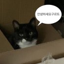 ㈜랩메디라인 | [용인 기흥구] 용인동백 왁싱샵 추천, 저자극/저통증 모데이왁싱