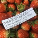 북촌농장 이미지