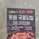 돗배갈매기 이미지