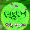 미정회초밥 이미지