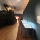 판소리판 이미지