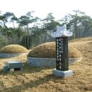똘배