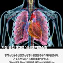 리나숨필라테스