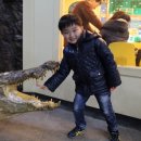 주주(ZOO ZOO) 이미지