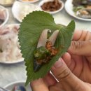 초지항 | 인천 강화도 초지항 맛집 오션뷰 횟집 전어회 전어구이 참돔 수남호