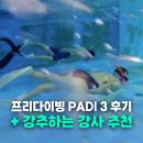 프리다이빙 강습 PADI 3 솔직후기 강사 추천 하라샘 PADI 3 딴 진짜 솔직후기