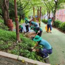 구포3동-3 이미지