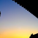 여수향일암일출제 이미지