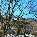 꼬꼬마을 이미지