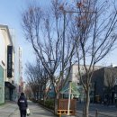 창일공인중개사사무소 이미지