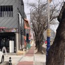 삼척해수욕장 이미지