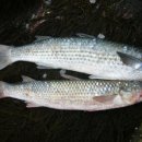 경포모텔 이미지