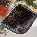 달링턴로스터스