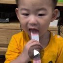 댕댕이모 네이버블로그