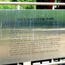 최유경 효자비 이미지