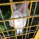 한강가족농장 이미지