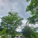 내촌낚시터 | [ 포천 애견동반 글램핑 ] 블루펫글램핑