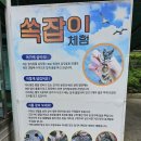 장치미 마을회관 | 남해 금천갯벌체험장 쏙잡기 조개캐기 물때 시간 맞춰 즐긴 후기