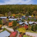 국립횡성숲체원 이미지