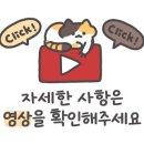 헤어(HAIR)_265 이미지