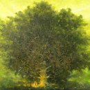 숲(Forest) 이미지