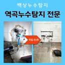 역곡타일 | 역곡누수로 아랫집 천장 곰팡이 피해 발생! 30년 경력 노하우로 해결