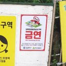 주감초등학교 이미지