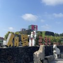 새별 | 제주 새별프렌즈 후기｜동물을 만지는 걸 넘어 껴안을 수 있다니, 동물원과는 확실히 달랐어요