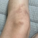 대천동주민센터3가 3 | 초록입홍합