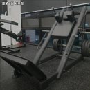 클로버짐 - 12792 | 클로버짐