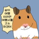 한걸음 여행사 네이버블로그