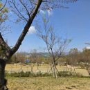 호계성당입구 이미지