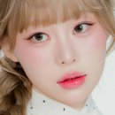 그린리치 | [ 뷰티 / 렌즈 ] Siesta 시에스타 렌즈 | 컬러에딕트 리치 그레이 & 그린 후기