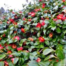 동백섬민박 이미지