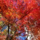 홍익아파트(종합운동장방향) 이미지