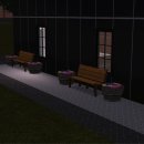 Bang 코인 이미지