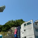 우천 공중화장실 | 동해 가볼만한곳 묵호 여행 필수 코스 도째비골 스카이밸리 전망대 미끄럼틀 생생 후기