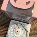 슈비듀밥 이미지