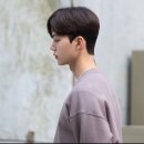 힐아베크헤어 이미지