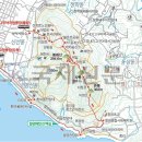 외나무 약국 이미지