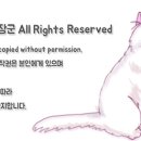 건강한펫 이미지