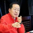 도리미디어 이미지