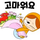용인대 튼튼 태권도장 이미지